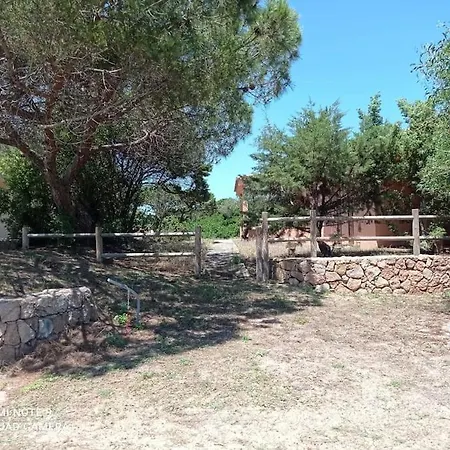 Shr Baia Delle Mimose 416